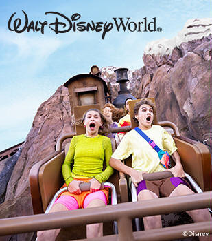 Walt Disney World - people on a roller coaster