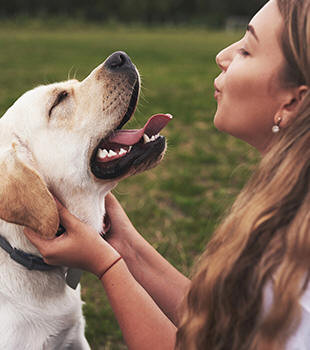 Dog and woman